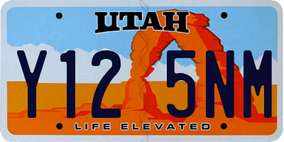 UT license plate Y125NM