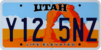 UT license plate Y125NZ