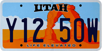 UT license plate Y125OW