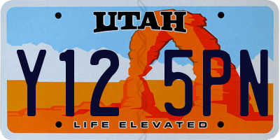 UT license plate Y125PN