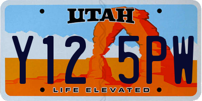 UT license plate Y125PW