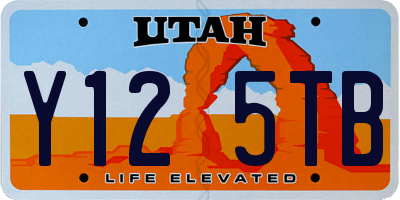 UT license plate Y125TB