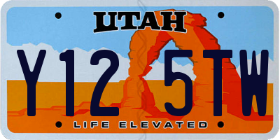UT license plate Y125TW