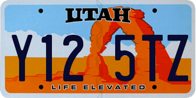UT license plate Y125TZ