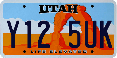 UT license plate Y125UK