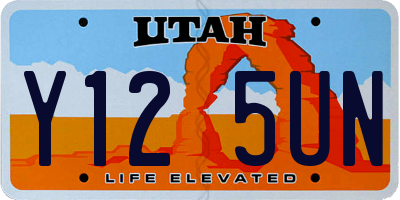 UT license plate Y125UN