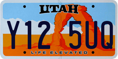 UT license plate Y125UQ