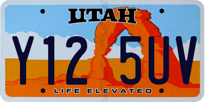 UT license plate Y125UV