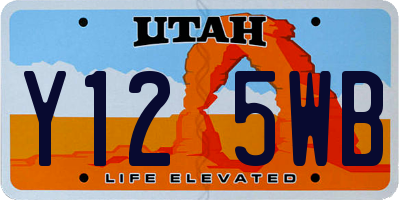 UT license plate Y125WB