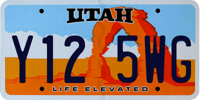 UT license plate Y125WG