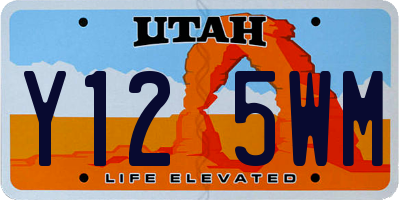 UT license plate Y125WM