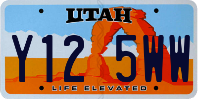 UT license plate Y125WW