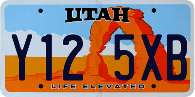 UT license plate Y125XB