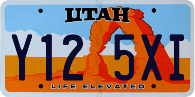 UT license plate Y125XI