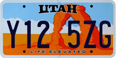 UT license plate Y125ZG