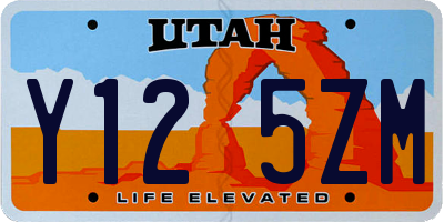 UT license plate Y125ZM