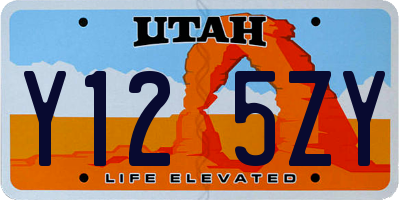 UT license plate Y125ZY