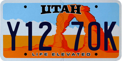 UT license plate Y127OK