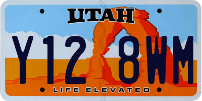 UT license plate Y128WM