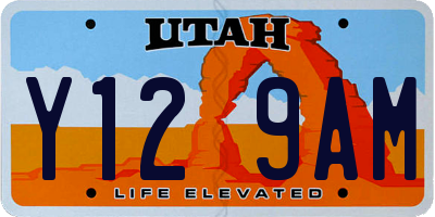 UT license plate Y129AM