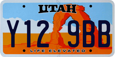 UT license plate Y129BB