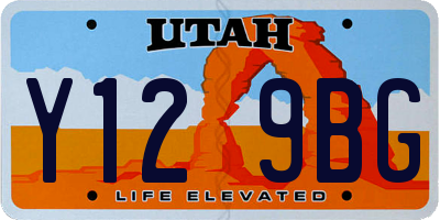 UT license plate Y129BG