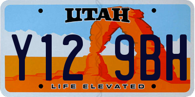 UT license plate Y129BH