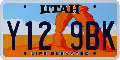 UT license plate Y129BK
