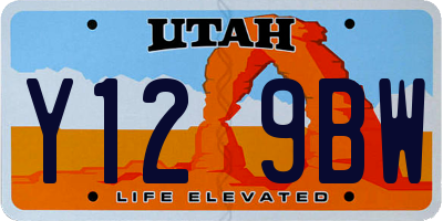 UT license plate Y129BW