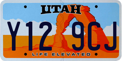 UT license plate Y129CJ
