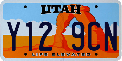 UT license plate Y129CN