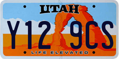 UT license plate Y129CS