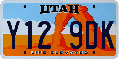 UT license plate Y129DK