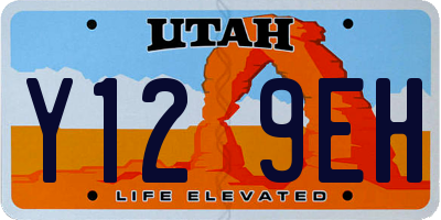 UT license plate Y129EH