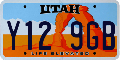 UT license plate Y129GB