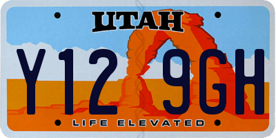 UT license plate Y129GH