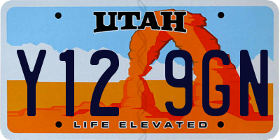 UT license plate Y129GN