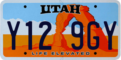 UT license plate Y129GY
