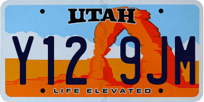 UT license plate Y129JM