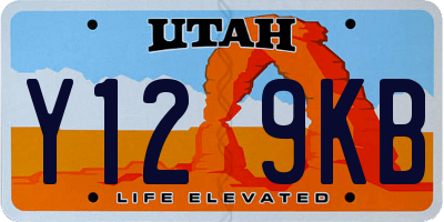 UT license plate Y129KB