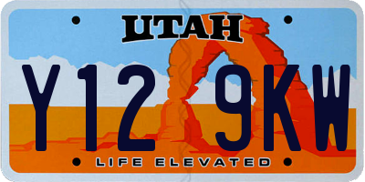 UT license plate Y129KW