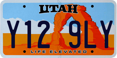 UT license plate Y129LY