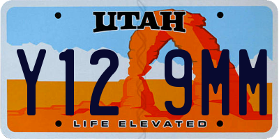 UT license plate Y129MM