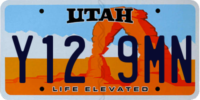 UT license plate Y129MN