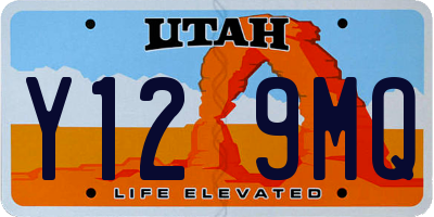 UT license plate Y129MQ