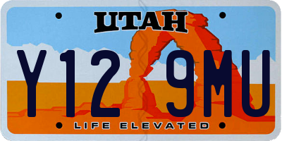 UT license plate Y129MU