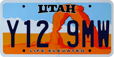 UT license plate Y129MW