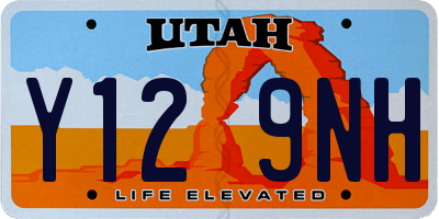 UT license plate Y129NH