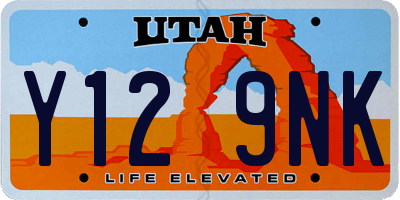 UT license plate Y129NK
