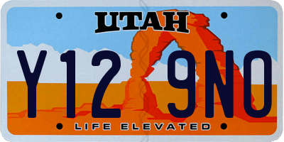 UT license plate Y129NO